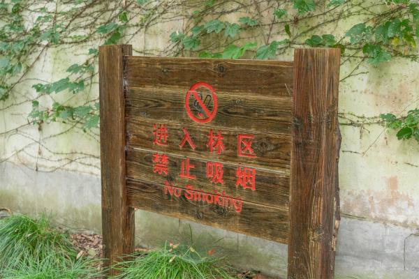佘山森林公园