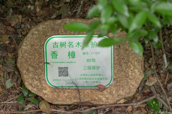 佘山森林公园