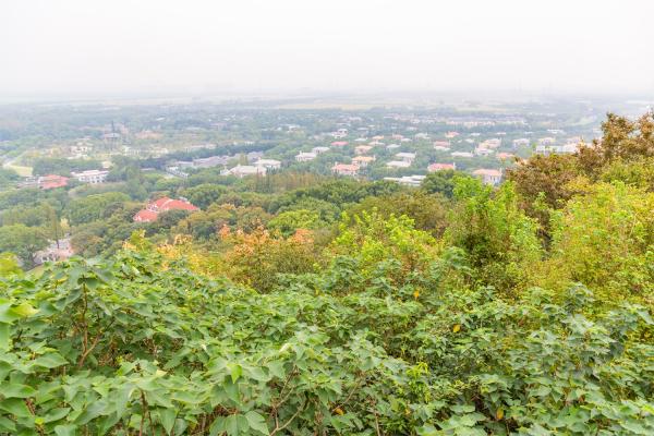 佘山森林公园