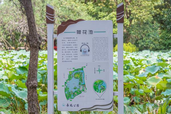 长风公园