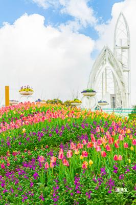 浦江郊野公园