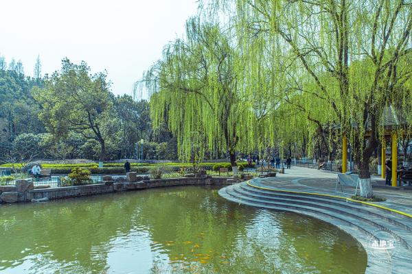 彭浦公园