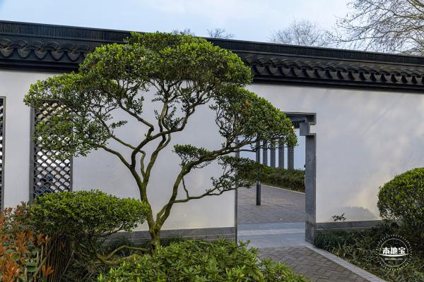 闸北公园