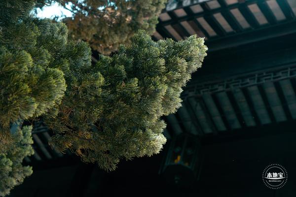 桂林公园