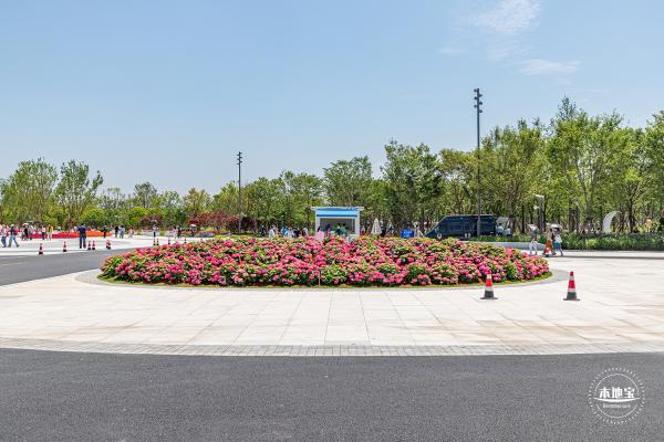 花卉博览会