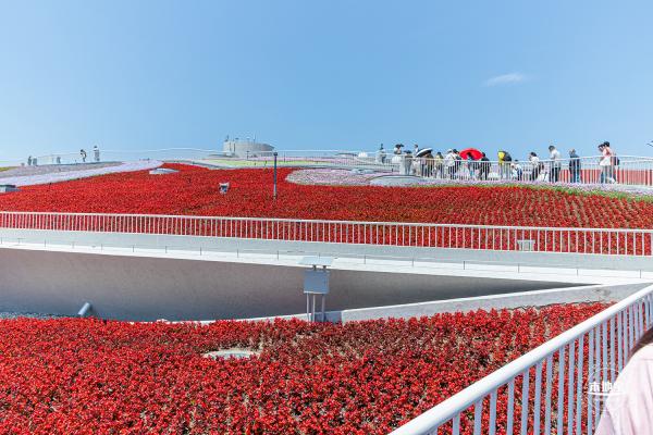 花卉博览会