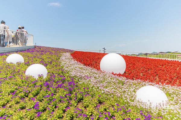 花卉博览会