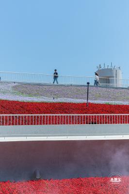 花卉博览会