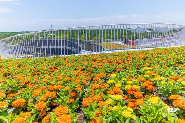 花卉博览会