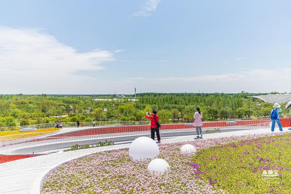 花卉博览会