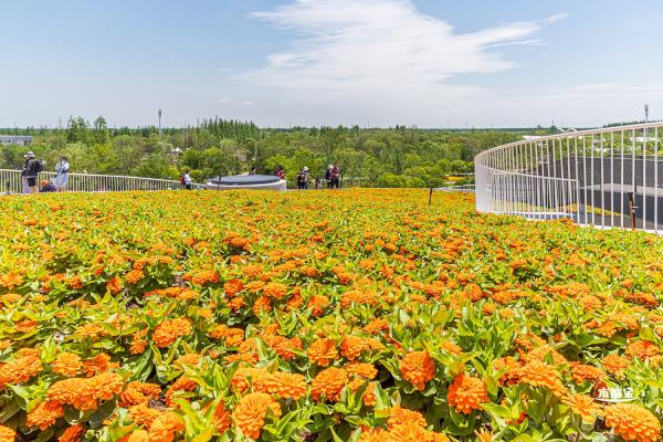 花卉博览会