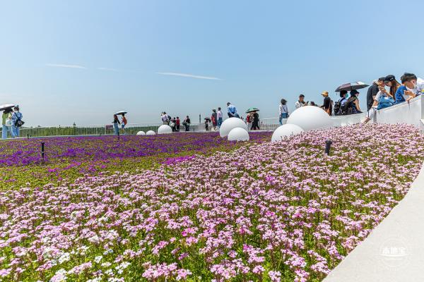 花卉博览会
