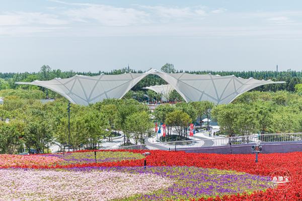 花卉博览会