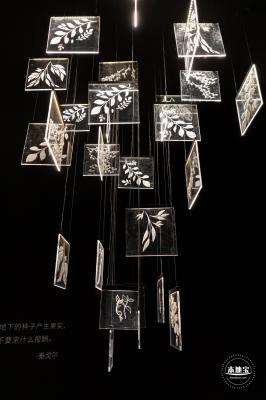 花卉博览会