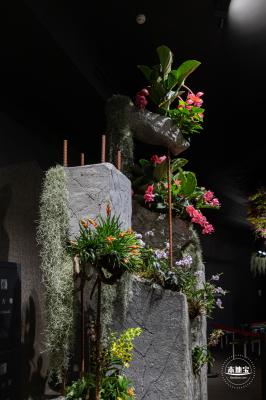 花卉博览会