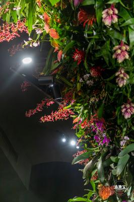 花卉博览会
