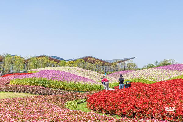 花卉博览会