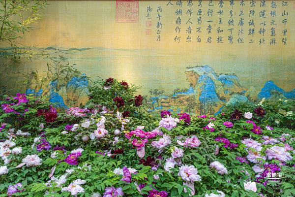 花卉博览会