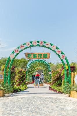 花卉博览会