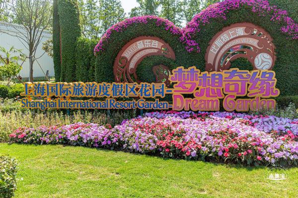 花卉博览会