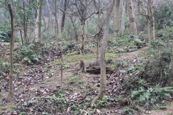 贵阳黔灵山公园