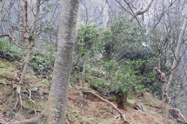 贵阳黔灵山公园