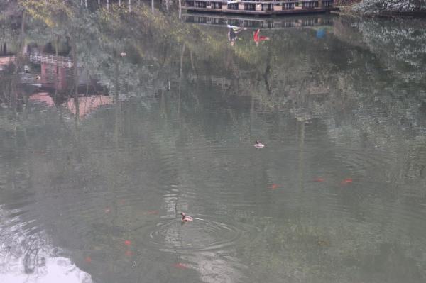 贵阳黔灵山公园