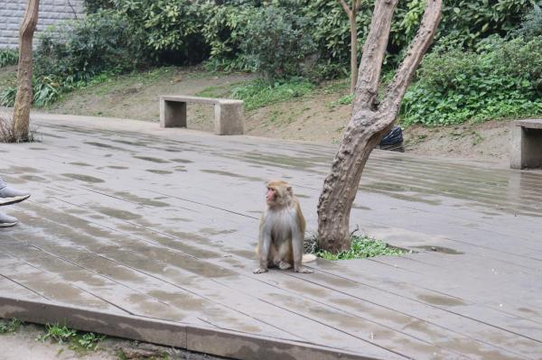 贵阳黔灵山公园