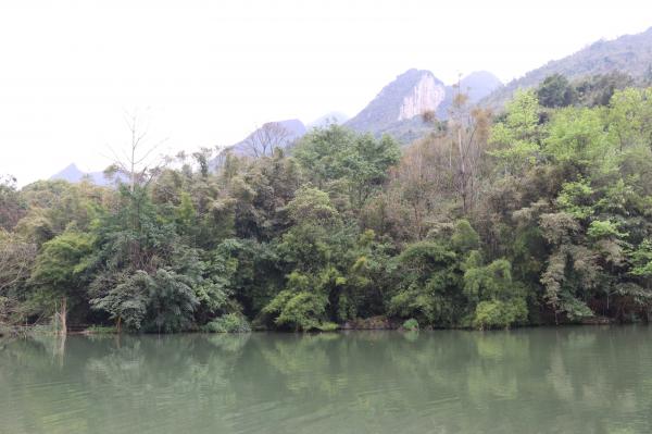 贵阳黔灵山公园
