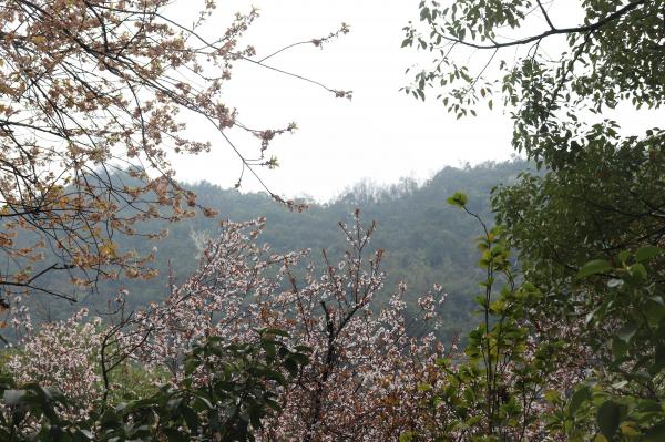 贵阳黔灵山公园