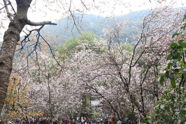 贵阳黔灵山公园