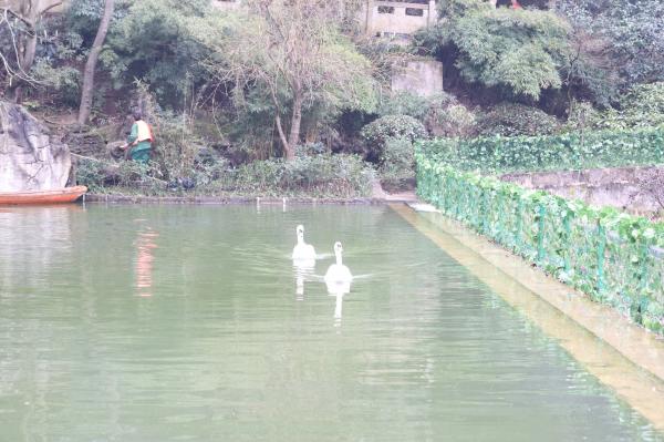 贵阳黔灵山公园