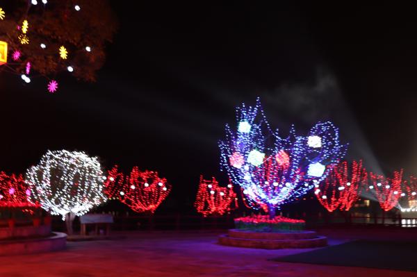 杭州江月园国际灯会