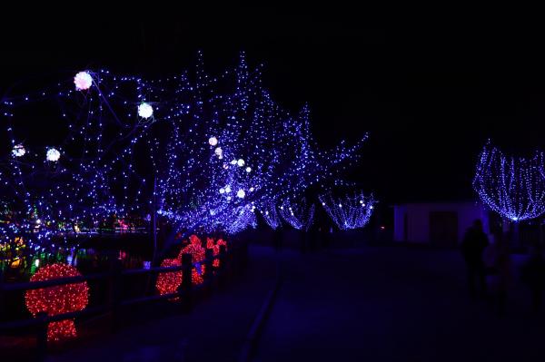 杭州江月园国际灯会