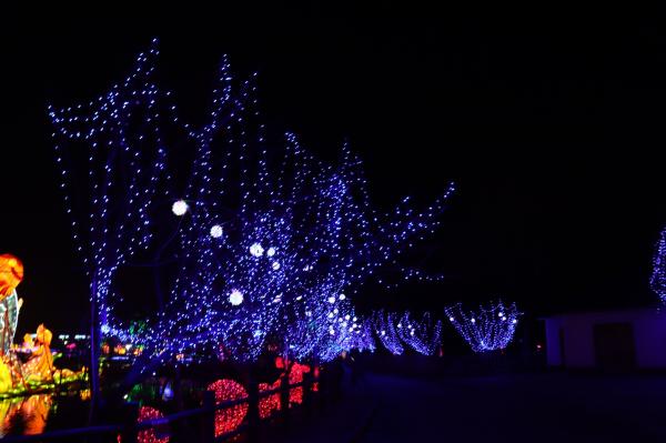 杭州江月园国际灯会