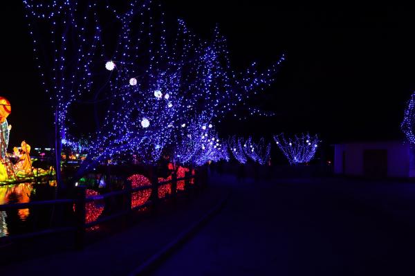 杭州江月园国际灯会