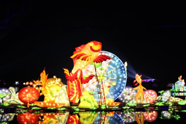 杭州江月园国际灯会