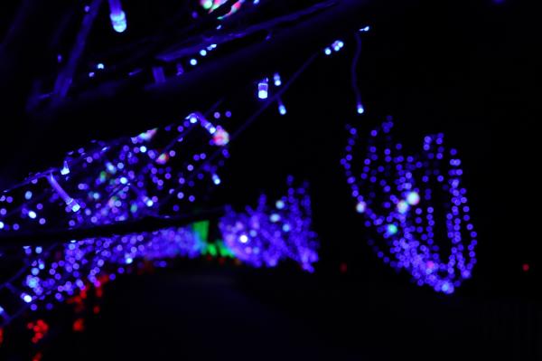 杭州江月园国际灯会