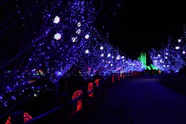 杭州江月园国际灯会