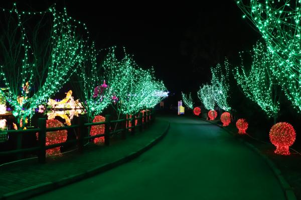 杭州江月园国际灯会