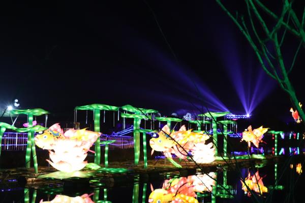 杭州江月园国际灯会