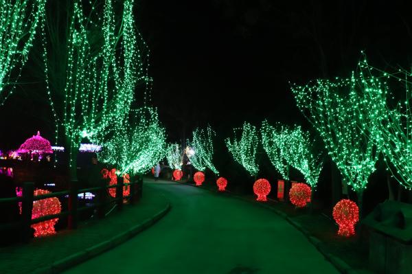 杭州江月园国际灯会