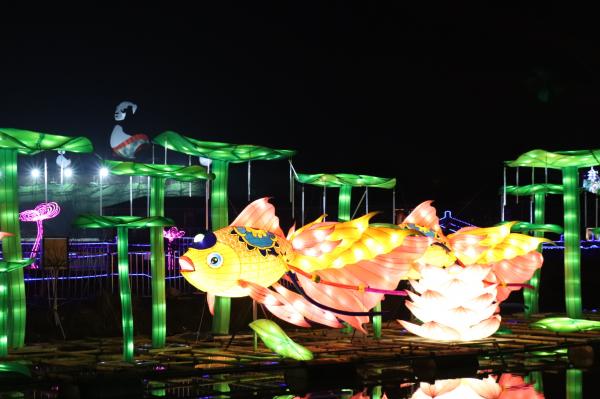 杭州江月园国际灯会