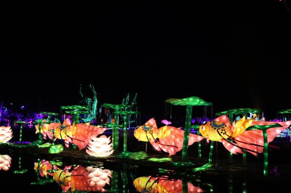 杭州江月园国际灯会