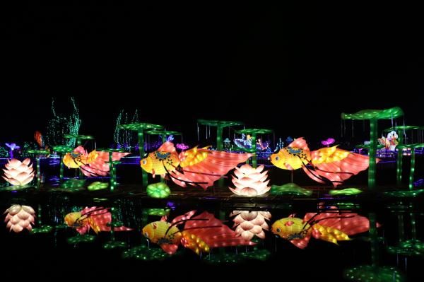 杭州江月园国际灯会