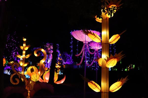 杭州江月园国际灯会