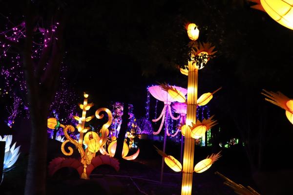 杭州江月园国际灯会