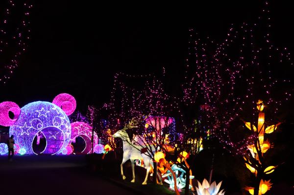 杭州江月园国际灯会