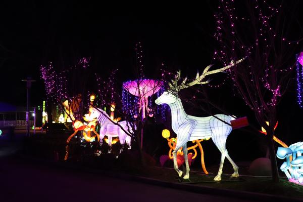 杭州江月园国际灯会