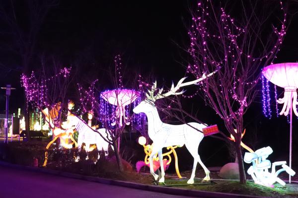 杭州江月园国际灯会